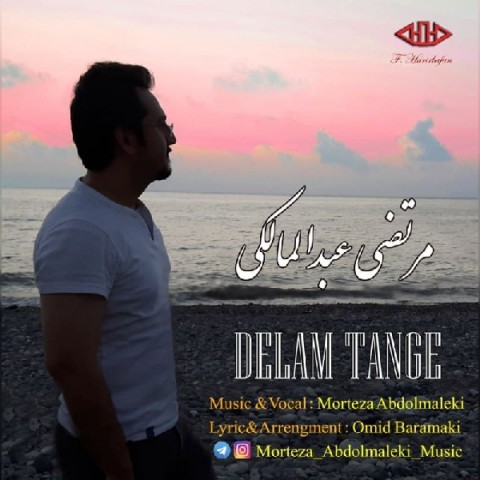 مرتضی عبدالمالکی دلم تنگه